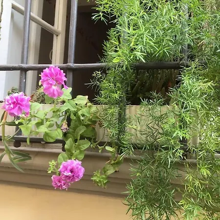 Appartement Guia In Sant'ambrogio